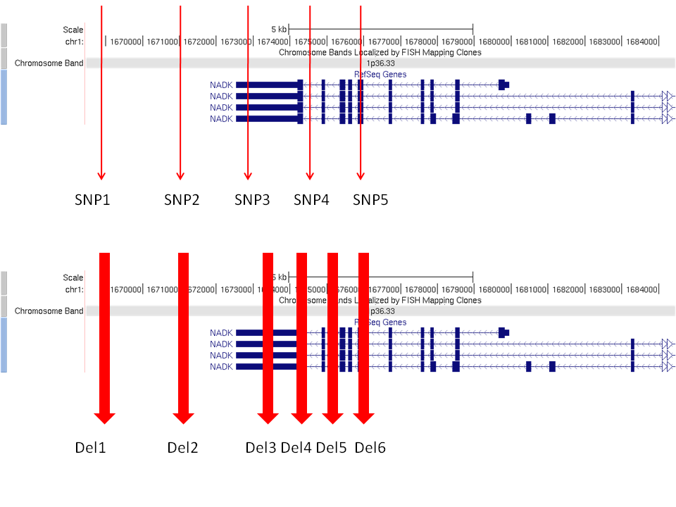 variant_function