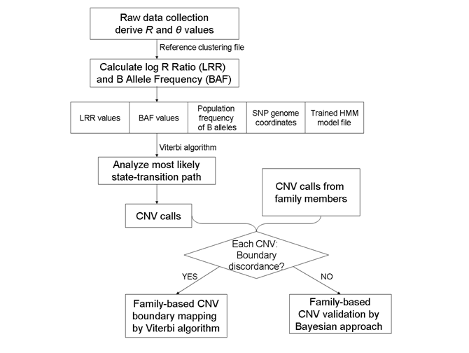 flowchart_cnv_algorithm