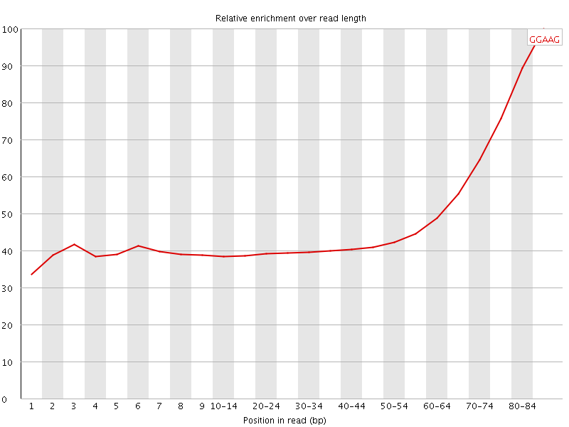 Kmer graph