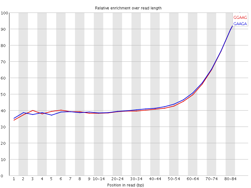 Kmer graph