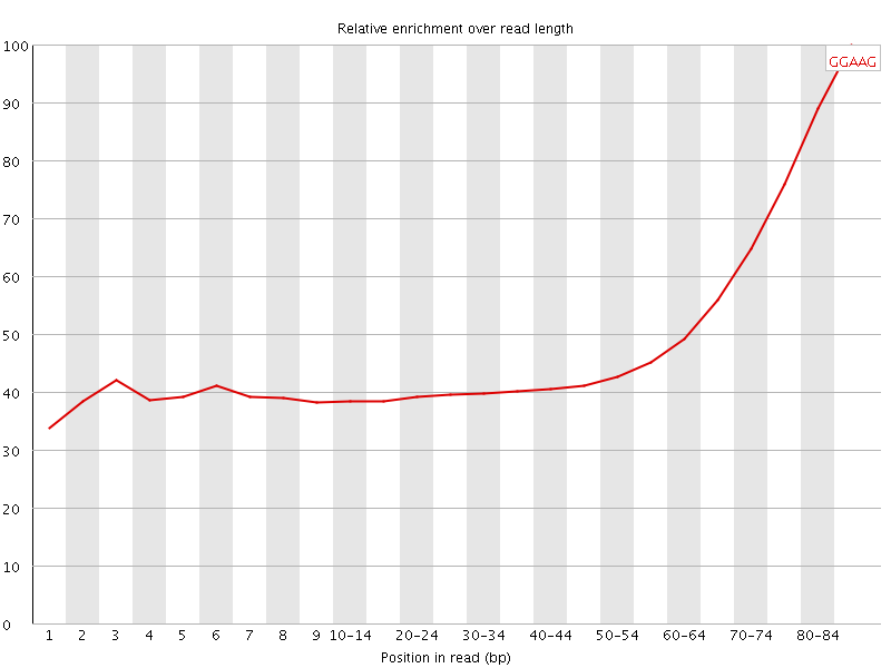 Kmer graph