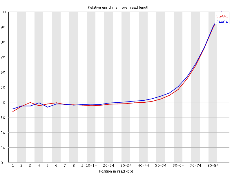Kmer graph